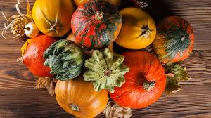 Upcoming and Seasonal Products