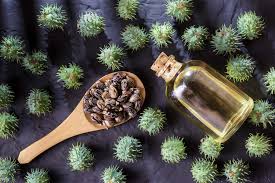 Sympli Black Castor Oil